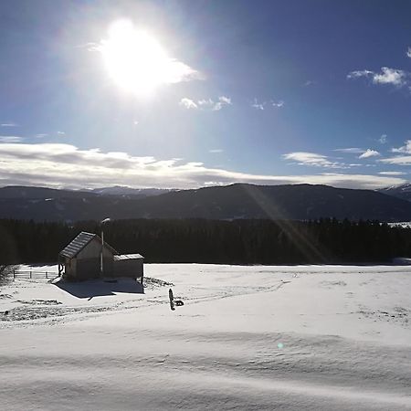 Praschhof Villa Mariapfarr Esterno foto